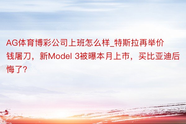 AG体育博彩公司上班怎么样_特斯拉再举价钱屠刀，新Model 3被曝本月上市，买比亚迪后悔了？